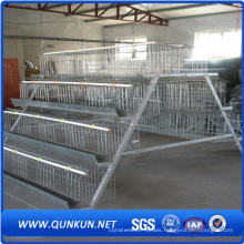Hot Sale Layer Egg Chicken Cage